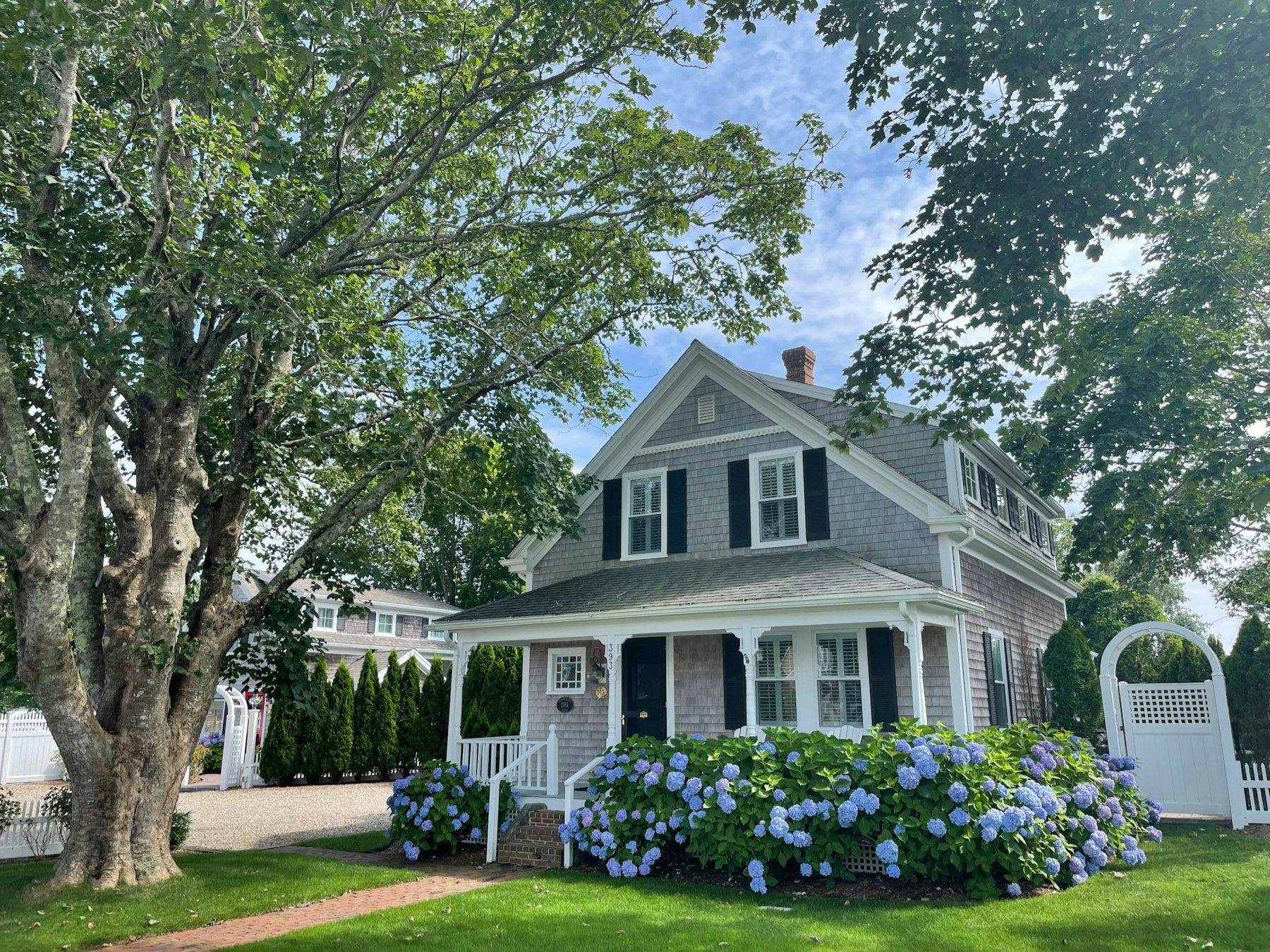 A gray-shingled cottage with white trim, a front porch and blue hydrangeas under a large tree.