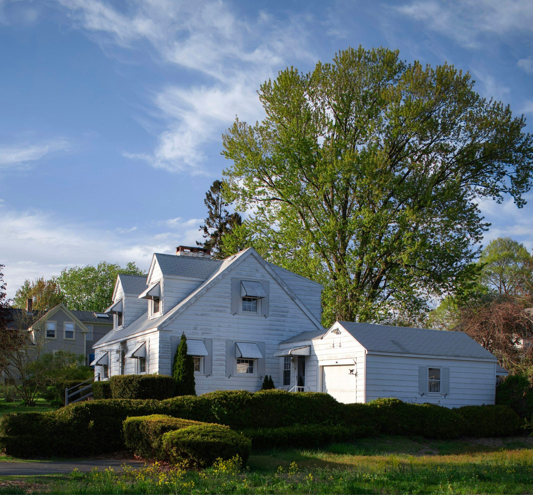 A white Cape with three dormers and an attached garage, behind clipped shrubs under a large tree.